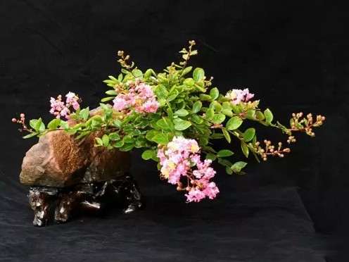 石栽盆景&mdash;&mdash;自然美与艺术美的统一2