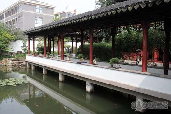 曾赵园石栽盆景 图片 曾赵园石栽盆景 图片