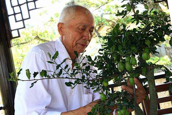 花木之乡成都市温江区是川派盆景的发源地多图