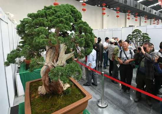 2016第四届中国唐苑唐风盆景展
