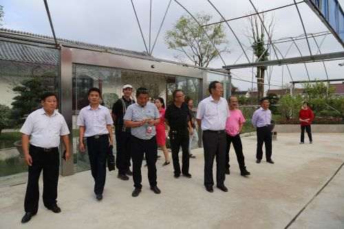 01如皋绿园盆景园