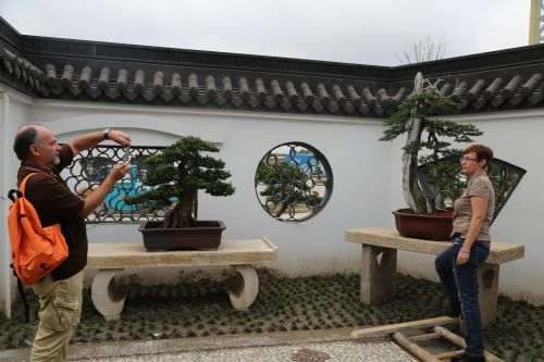 10在这里他们相互拍照留念