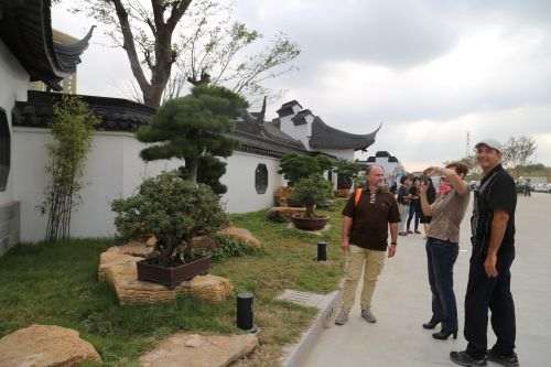 04中心大道一侧盆景