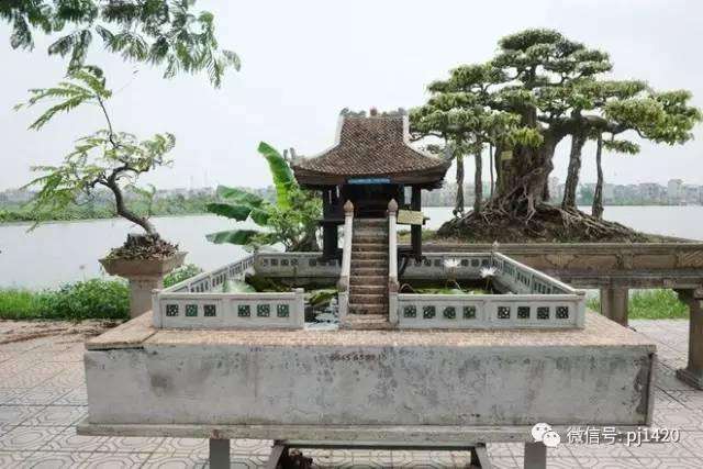 微缩的感动盆景达人打造的小世界