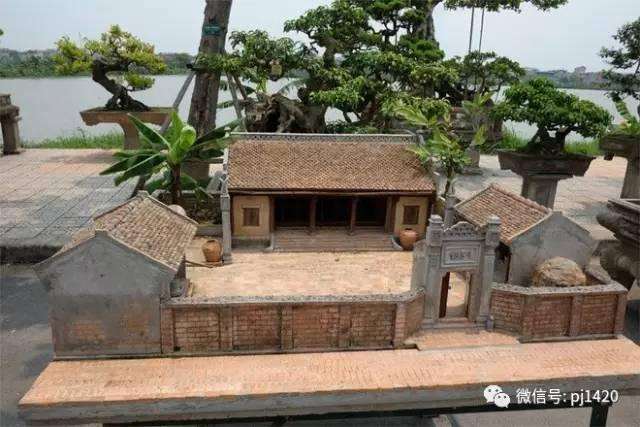 微缩的感动盆景达人打造的小世界