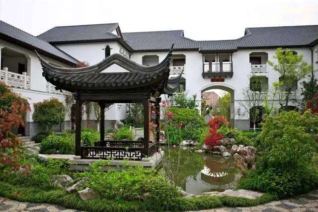 近年来盆景收藏逐渐升温,除了保值增值外