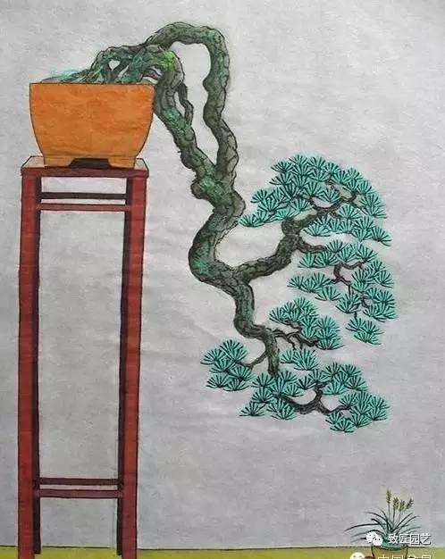 浅谈盆景设计效果图的作用