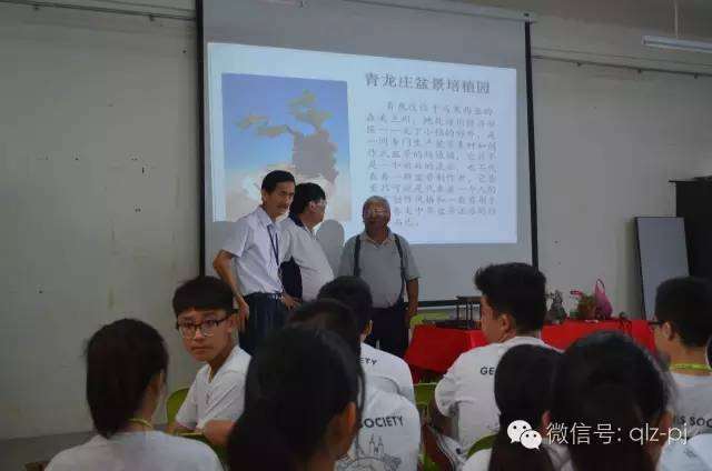 用盆景来比喻生活 用生活来演绎盆景