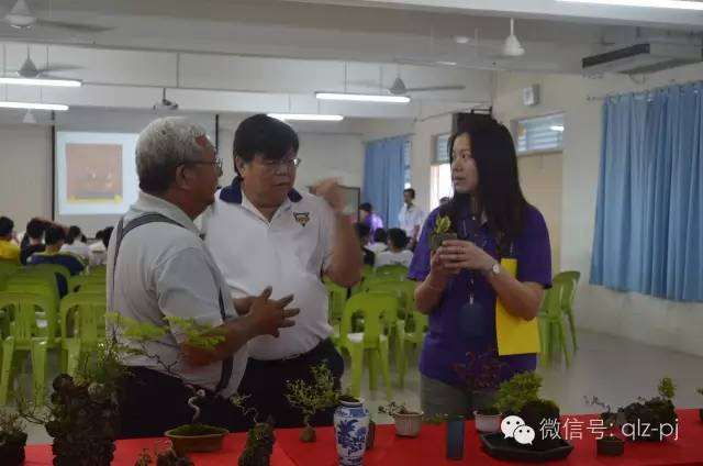 花那么长时间来搞这由小缠扎的盆景