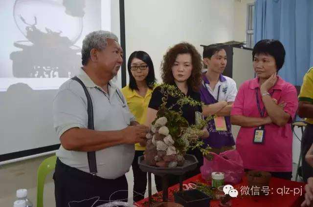 正确的盆景制作和正确的人生经营是相通的