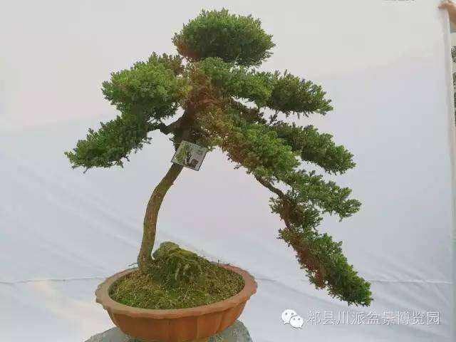 怎样使题名服务意境