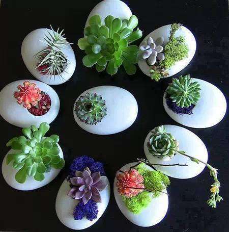 生活中看似没用的东西都可以做成盆景哦