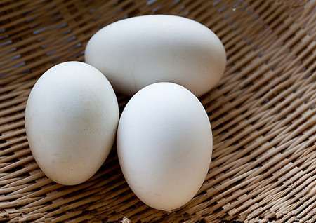 生活中看似没用的东西都可以做成盆景哦