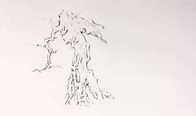 岭南盆景《钟灵毓秀》制作过程