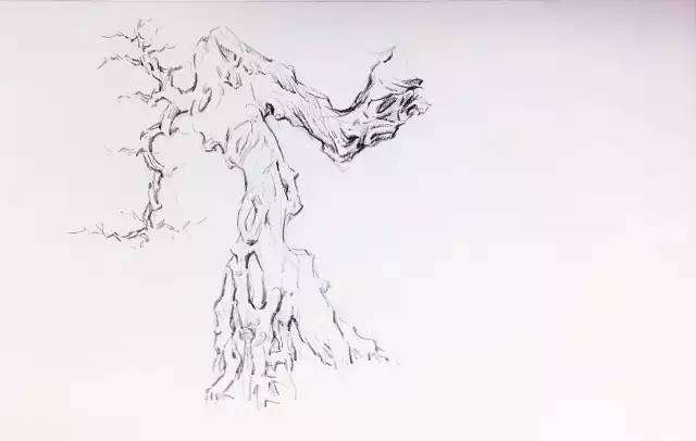 岭南盆景《钟灵毓秀》制作过程