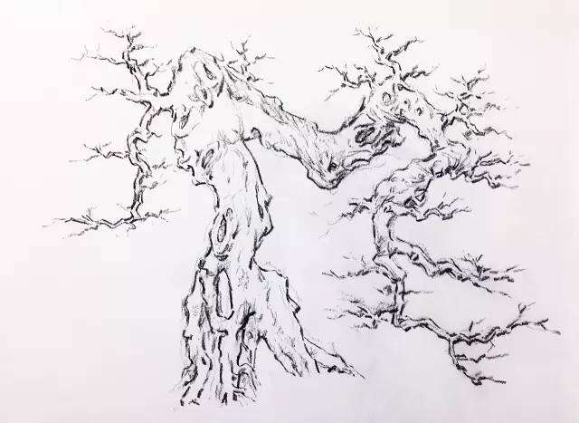 岭南盆景《钟灵毓秀》制作过程