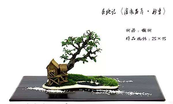 张夷解析砚式盆景里的诗情画意