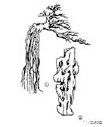 拜师帖抱石盆景制作教程