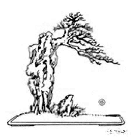 抱石盆景制作教程