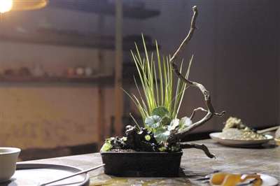 教你怎么做出一株盆景