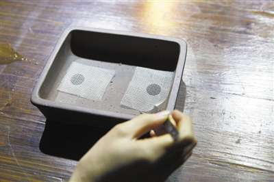 教你怎么做出一株盆景