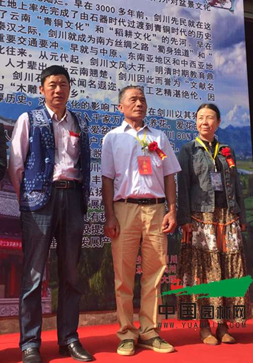 2016剑川石宝山歌会-首届剑川盆景展