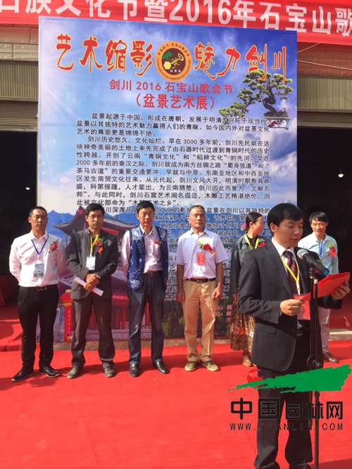 2016剑川石宝山歌会-首届剑川盆景展