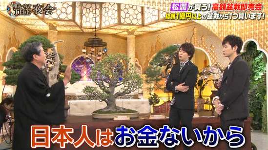 曝马云花一千万日元购买盆景