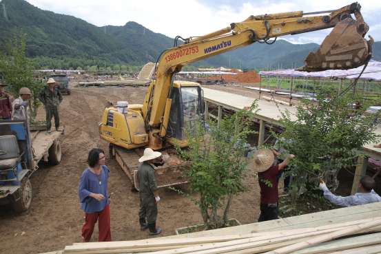 千棵古紫薇盆景落户中华紫薇园