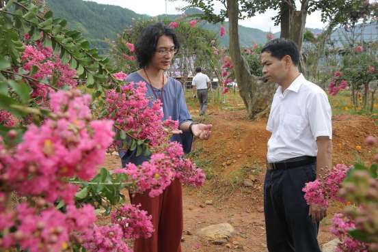 千棵古紫薇盆景落户中华紫薇园