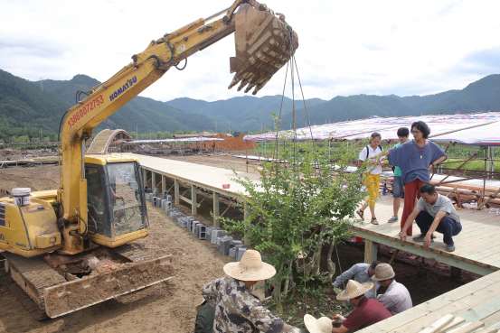 千棵古紫薇盆景落户中华紫薇园