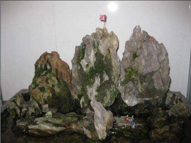 退休老人愿意免费收徒教盆景