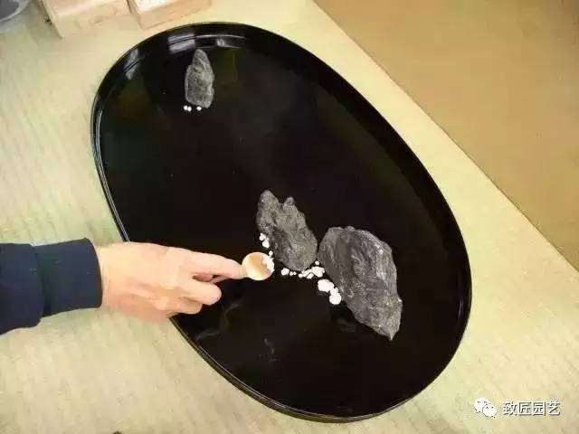 干货:枯山水盆景如何速成