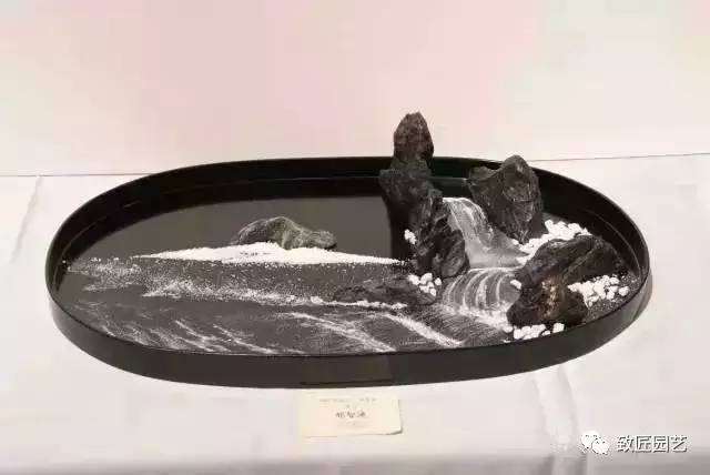 干货:枯山水盆景如何速成