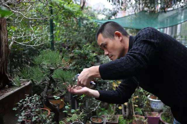上虞的&ldquo;光头强&rdquo;不砍树&mdash;&mdash;养盆景