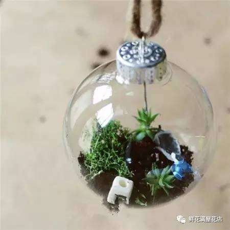 图解 多肉植物盆景怎么制作的方法