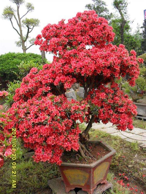 景制作要未做意在先 构思在前做在后