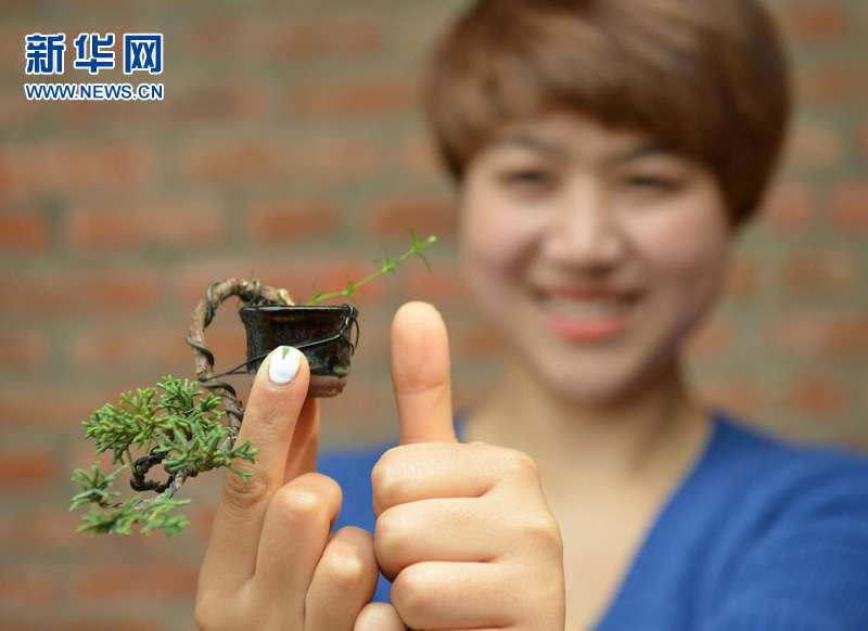 95后小伙微型盆景施展大舞台