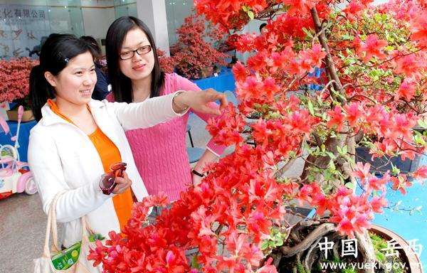 贵阳市获国际盆景大会主办权