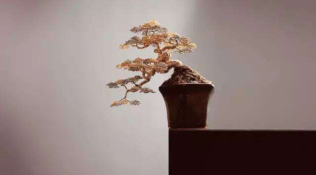 这老外把盆景玩的，火了!