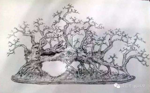 图解 盆景设计图 怎么样