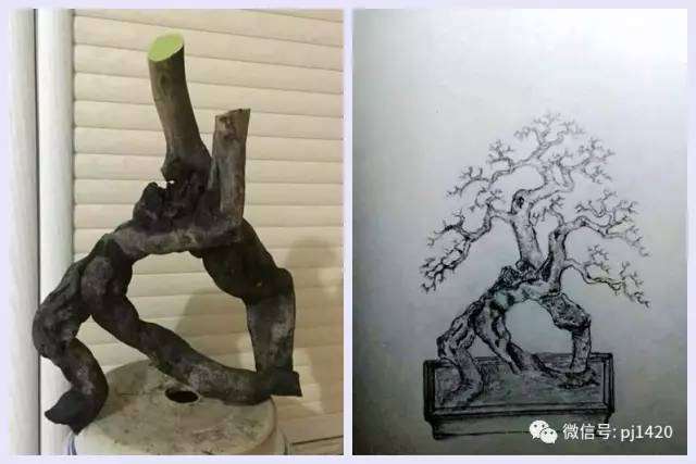 图解 盆景设计图 怎么样