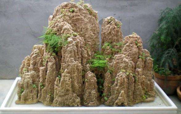 巧夺天工的吸水石盆景【图】