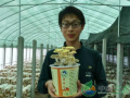 80后小伙蘑菇种植 培育出了盆景蘑菇 图片