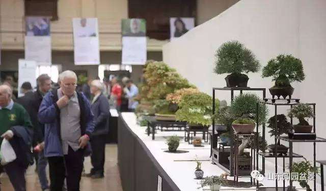 “2015欧洲盆景展”在英国曼彻斯特隆重举行