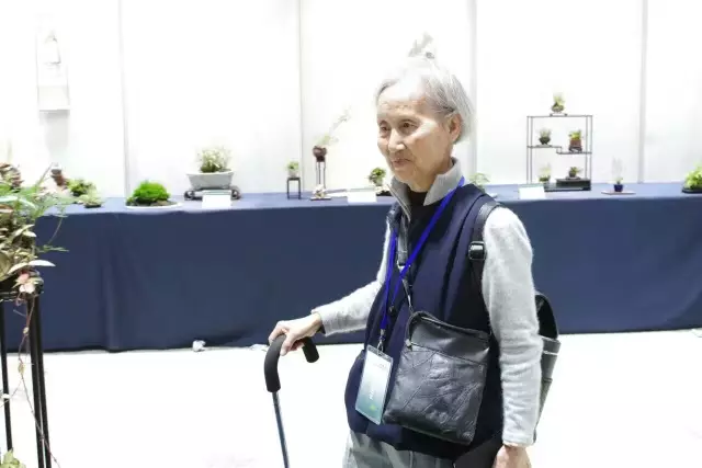 微型小品盆景与山野草同放异彩