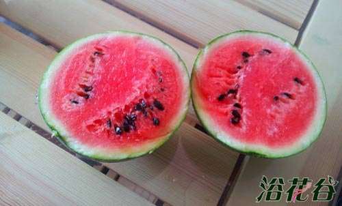 【图解】西瓜籽怎么种小盆栽