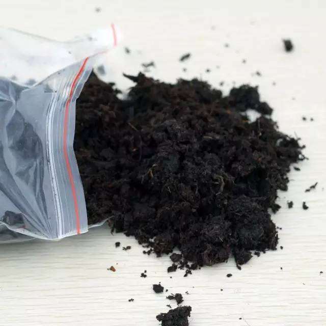 现在盆景用什么基质最流行？当然是仿土海绵栽培基质啦！