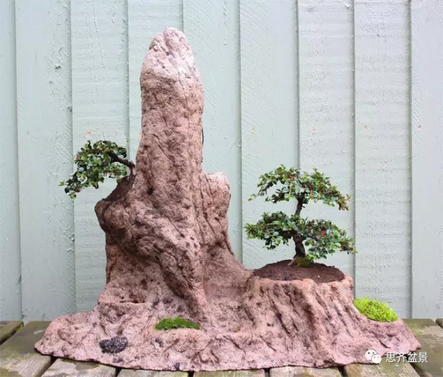 图解 石头怎么制作山水盆景的方法