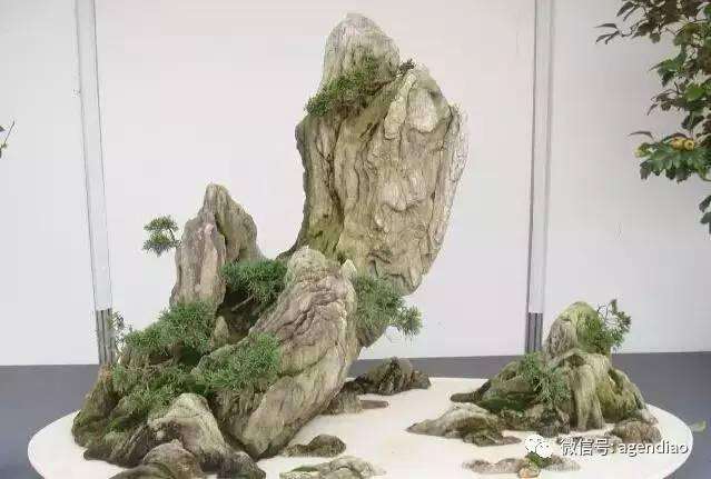 2016年 给大家带来一组山水盆景作品